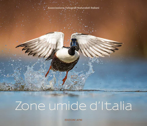 CoverZoneumided Italia 480x